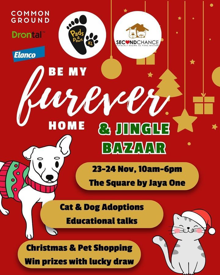 Be My Furever Home Jingle Bazaar. With Padsandpaws..