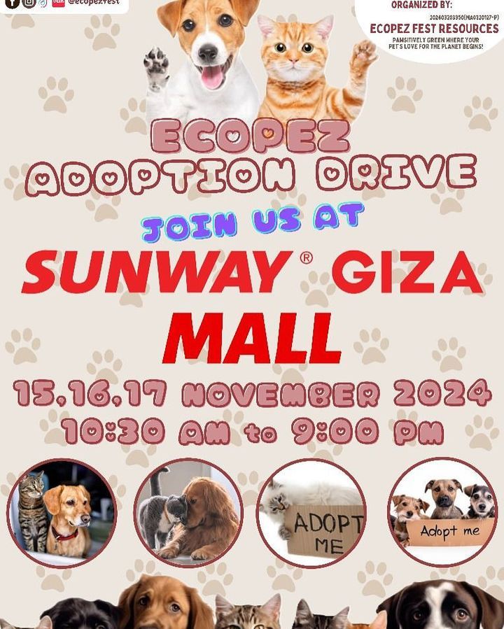 Starting Today. Join Us And Meet Your New Furever ..