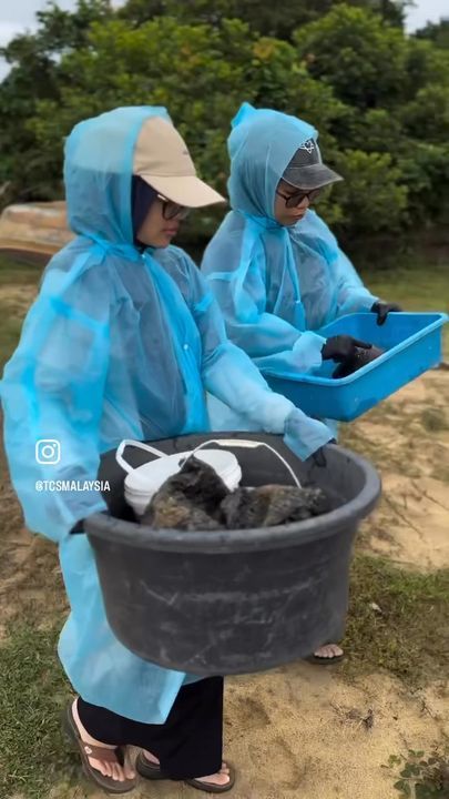 Cara Mengumpul Spesimen Tulang Tuntung