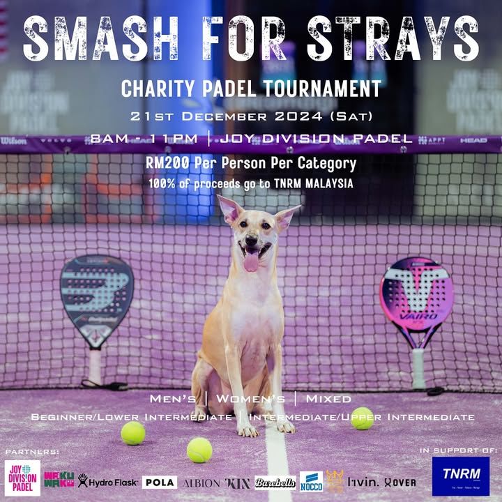 Are You Ready To Smash For Strays?. Happening 21st..