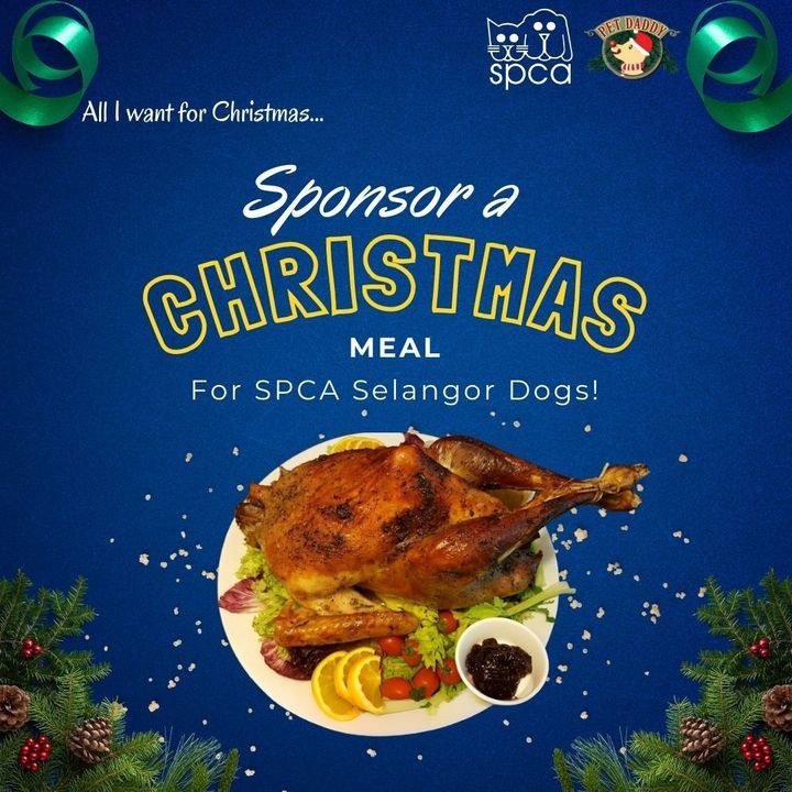 Spread The Love This Christmas With Spca Selangor ..