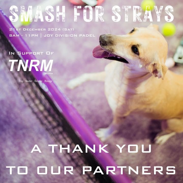 For Our Inaugural Smash For Strays 2024 Charity Pa..