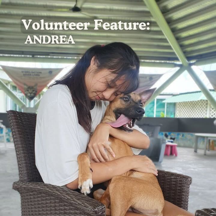 At The Heart Of The Spca Is An Incredible Communit..