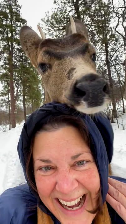 Rescued Fawn Never Forgets To Come Back Home