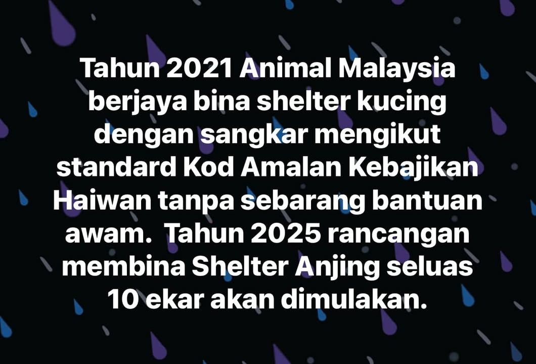 Tahun 2025 Animal Malaysia Akan Membangunkan Shelt..