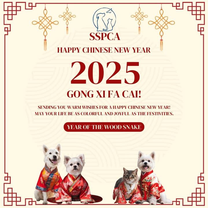 Wishing You A Paws-Perous Chinese New Year. Sspca ..