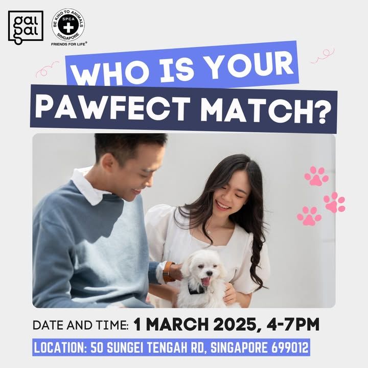 Find Your Pawfect Match With Spca X Gaigai. Join U..