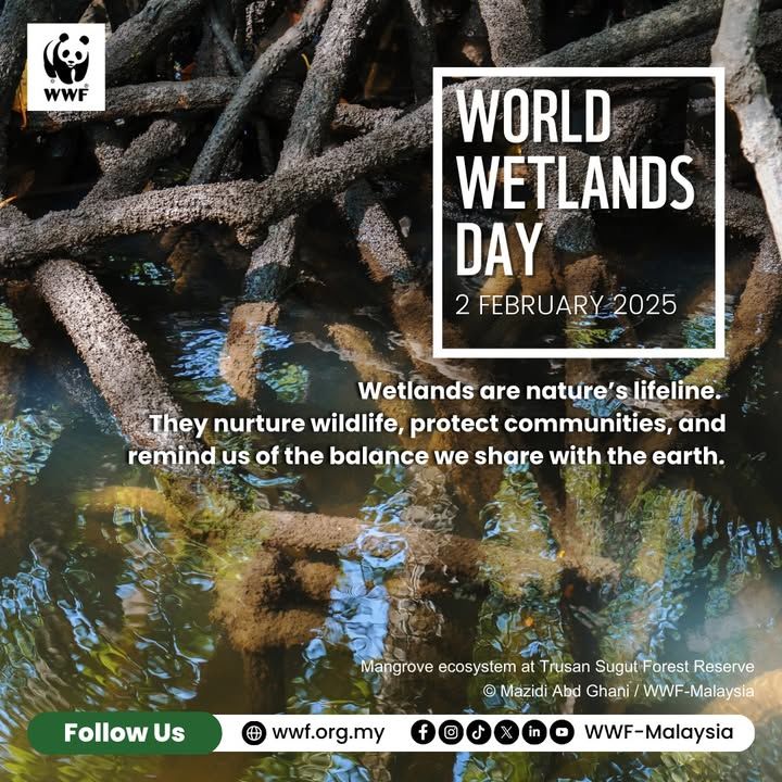 Happy World Wetlands Day. Dyk Wetlands In Malaysia..