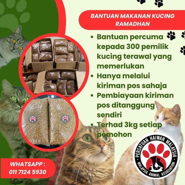 Bantuan Makanan Kucing Sempena Ramadan. Inisiatif ..