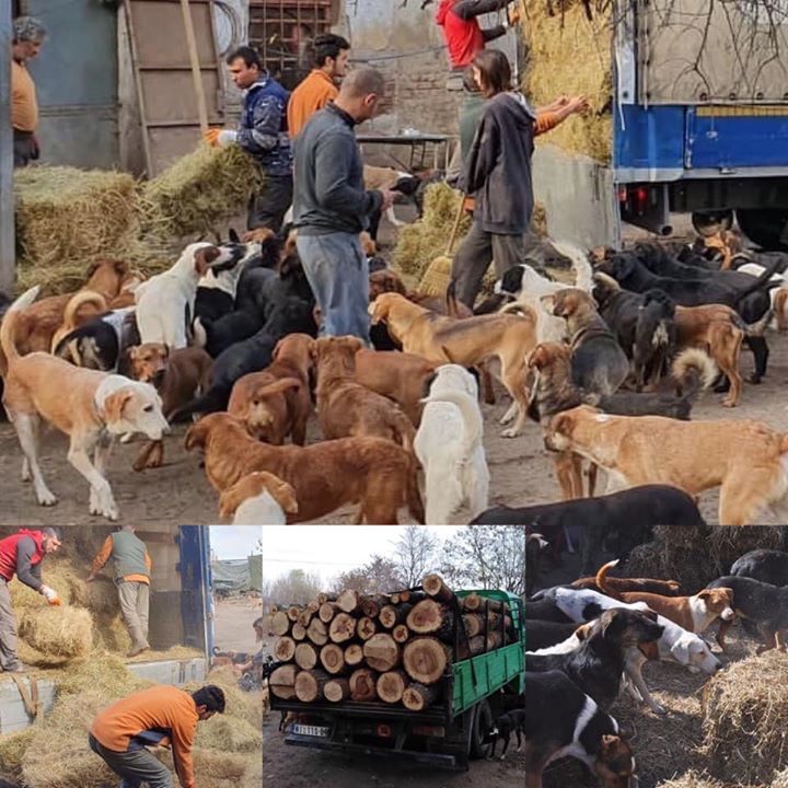 Truckloads Of Straw Bedding Firewood. Its That Tim..