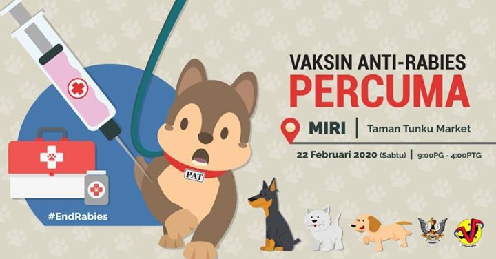 - -. Dapatkan Suntikan Vaksin Anti-Rabies Untuk An..