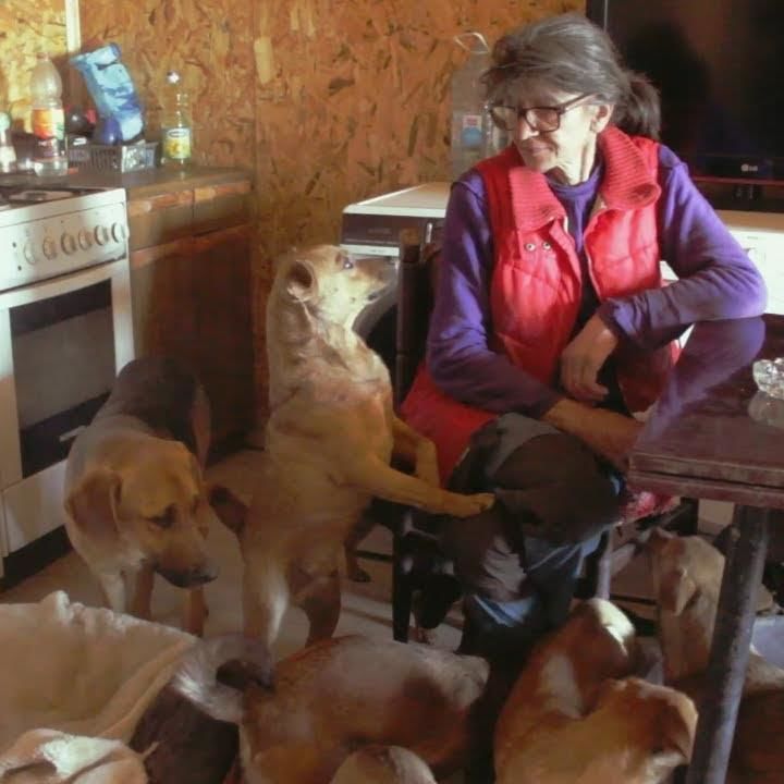 Woman Living With 150 Dogs – Milena`s Story