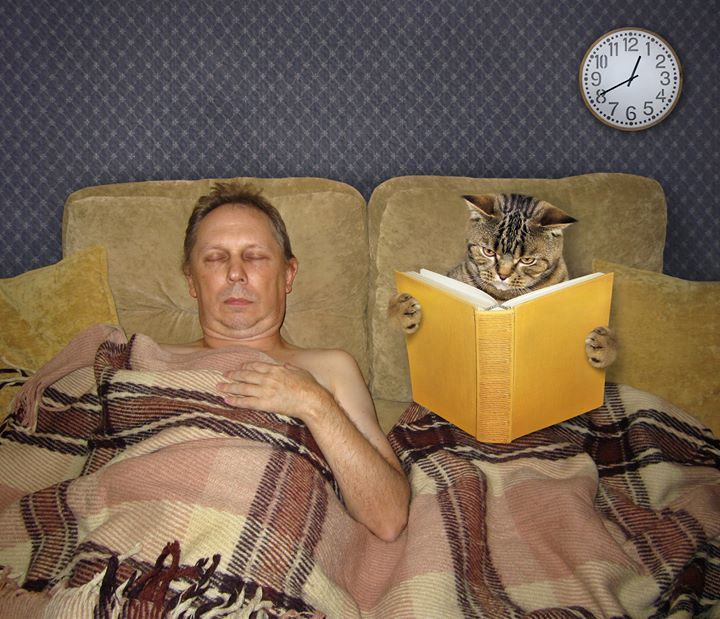 A Bedtime Story For Ralph. Tabby Can’t Wait To Put..