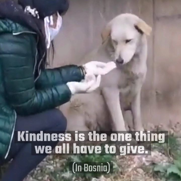 Kindness Is The One Thing We All Have To Give!