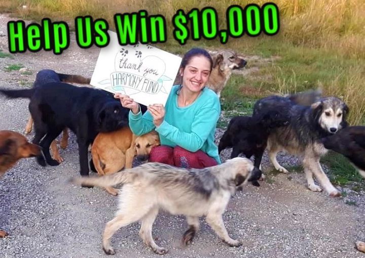 Help Us Win 10,000 For The Animals. – 30 Seconds O..