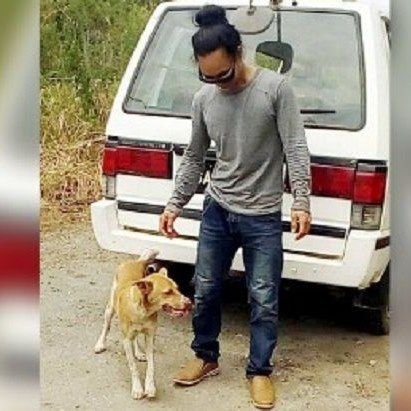 Sabahan Gains Loyal Dog On 120km Trek Home