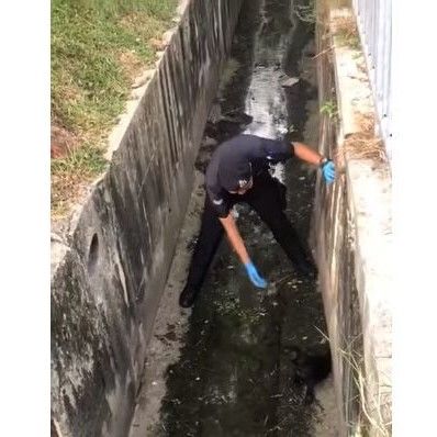 Roadblock Cop Praised For Saving Trapped Puppy, Canine Parents Wag Their Tails