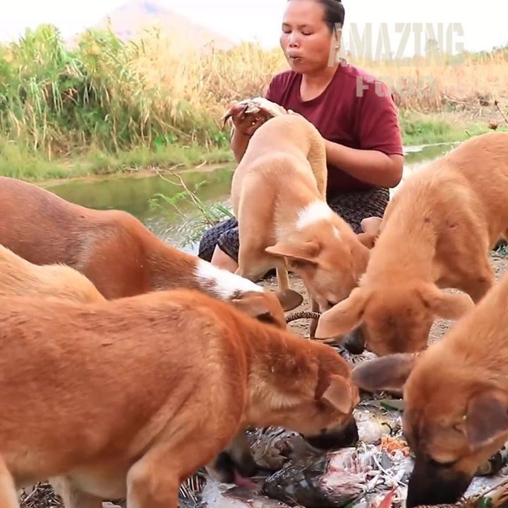 Cook Fish In Clay For Dog.