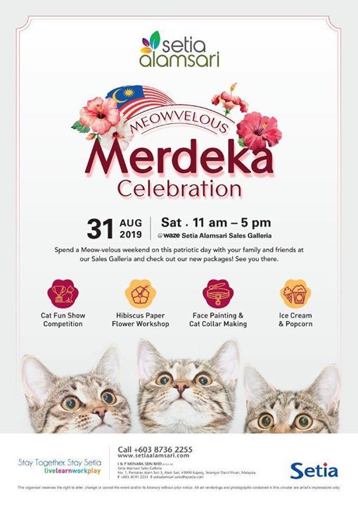 Hello Bangi. Our Cats Are Going To The Merdeka Cat..