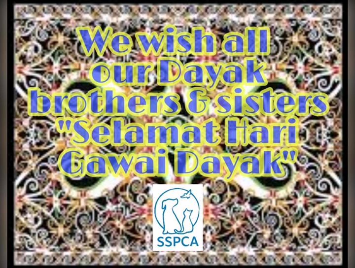 Wishing All Our Dayak Brothers And Sisters "Selama..