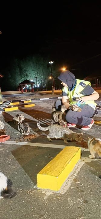 Waktu Pkp Begini. Aktiviti Beri Makan Haiwan Terba..