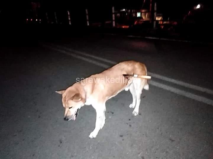 Langkah Pantas Anggota Bomba Dan Penyelamat Bantu ..