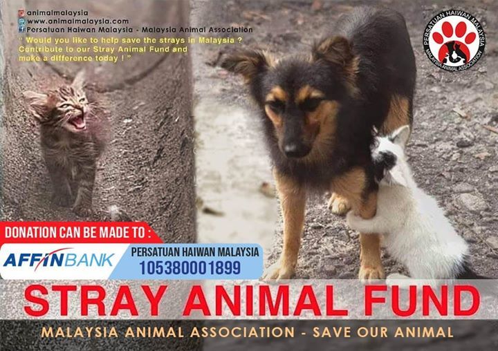 Persatuan Haiwan Malaysia – Malaysia Animal Association’s Cover Photo