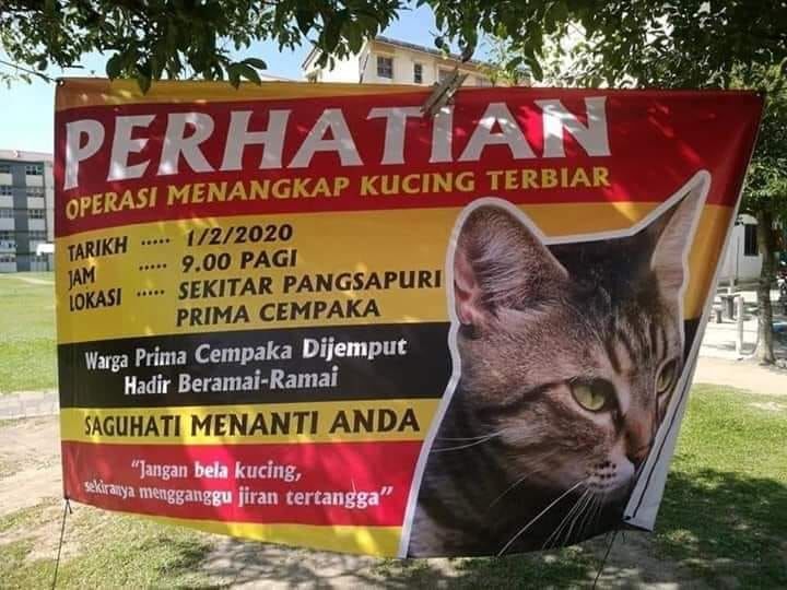 Tangkap, Urus Pemandulan Dan Buka Adoption. Itulah..