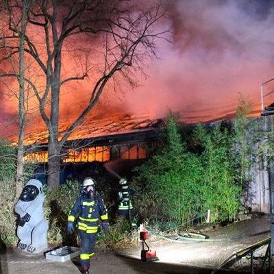 Zoo Terbakar Ketika Sambutan Tahun Baharu, Lebih 30 Haiwan Mati | Astro Awani