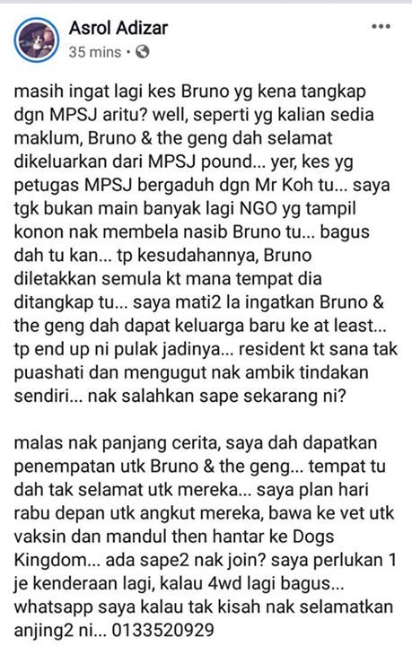 Kenyataan Media Keberadaan Dan Nasib Anjing Bruno ..