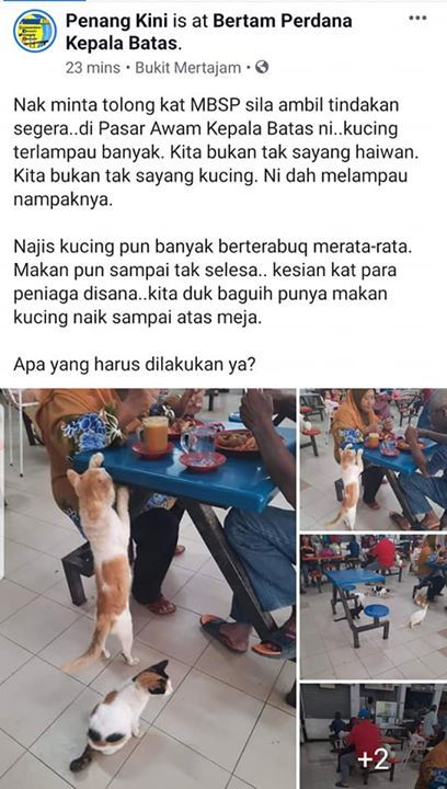 Dikala Malaysia Sedang Sibuk Dengan Penganjuran Ha..