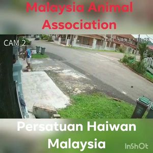 Malaysia Animal Association News u0026 Blogs  PetFinder.my