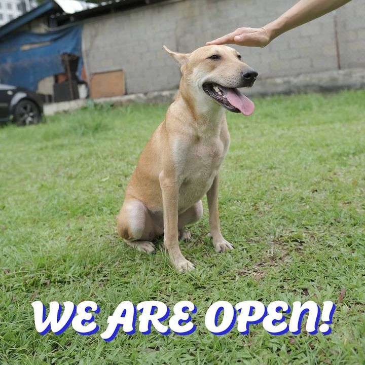 Paws Will Reopen This Friday 5 March 2021 Onwards ..