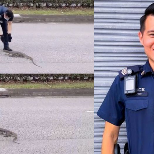 ‘we Undoubtedly Have To Learn To Live With Wildlife’: Police Officer On Rescuing Monitor Lizard At Republic Ave