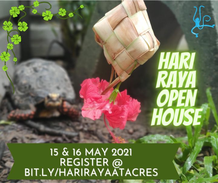 Hari Raya Open House. Update Due To Developing Cov..