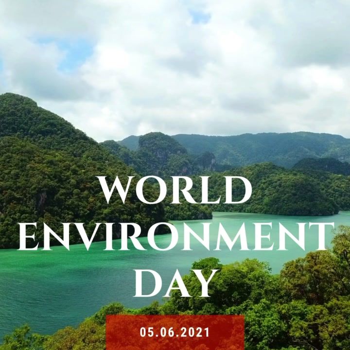 Its World Environment Day. What You Do Makes A Dif..