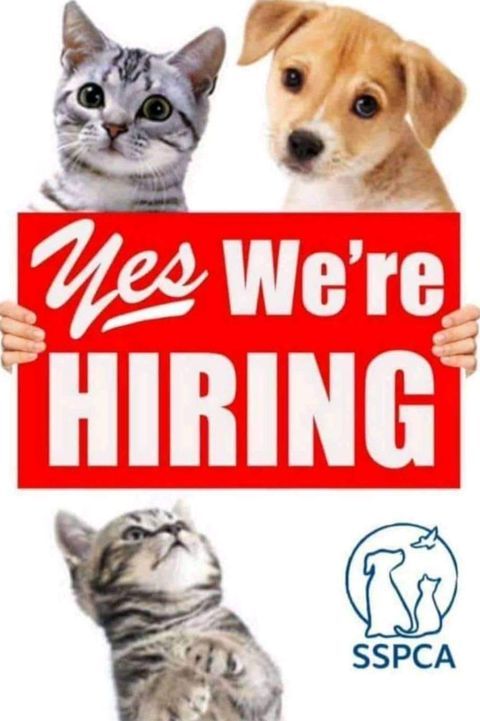 Vacancy Animal Care Assistant. Basic Job Scope. Cl..