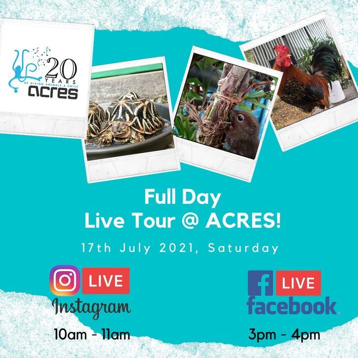 Acres Goes Live Don’t Miss It. Whether You’re A Mo..