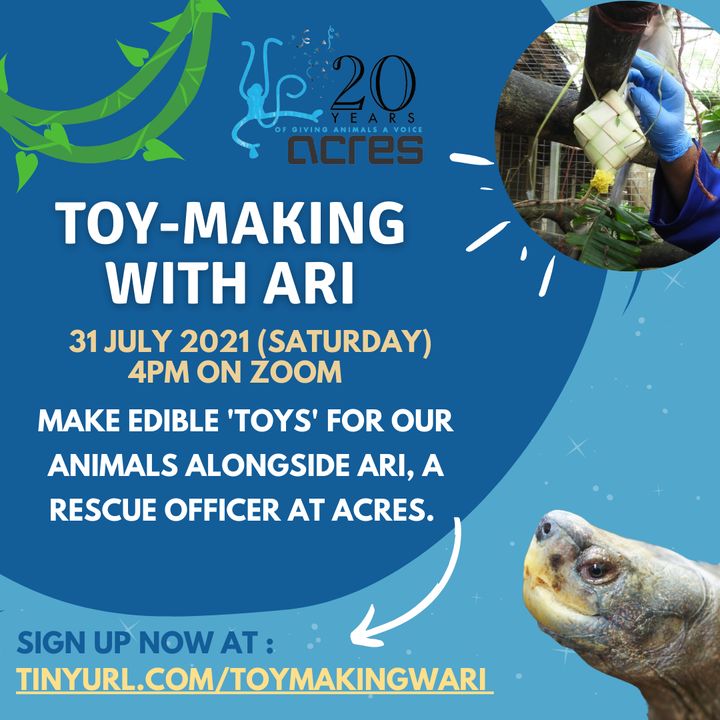 Making ‘Toys’ For The Animals. Enrichments In The ..