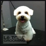 dog grooming