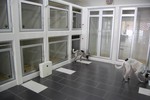 Lazybone Pet Shop - 