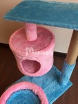 Medium Cat Tree (New) - 