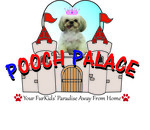 Pooch Palace @ Ampang - 