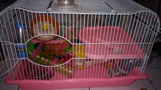 Hamster Cage And Toys Accessories - 