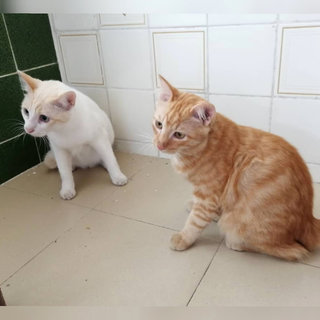 Watching our mummy cook