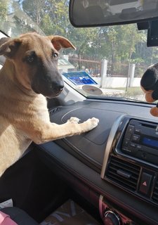 Little Boy wondering why is he the only one headed out. (going to new foster home)