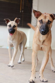 Luna (left) and her brother, Caspian