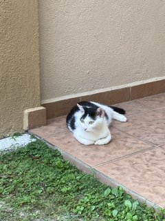 Partial loaf mode activated