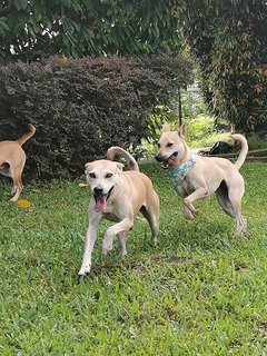 Active and healthy. Well-behaved park-goers