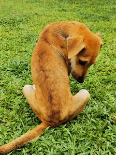Didi's emaciated frame @6-months+